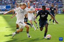 开云体育官方网站-霍芬海姆客场全身而退，坚守在德国联赛的中游位置的简单介绍