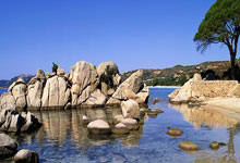 开云体育下载-关于马来西亚队绝杀法国队，黄鸭组合关键制胜的信息