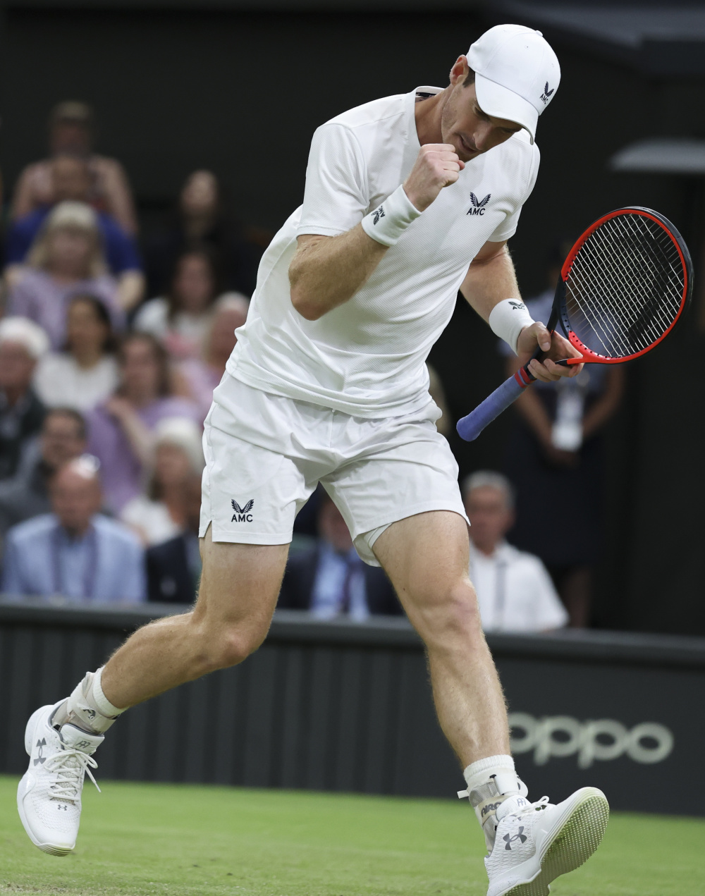 关于法国网球队翻盘澳大利亚网球队，穆雷打破历史纪录的信息