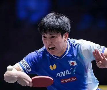 奥地利队险胜德国队，张本智和状态火热的简单介绍