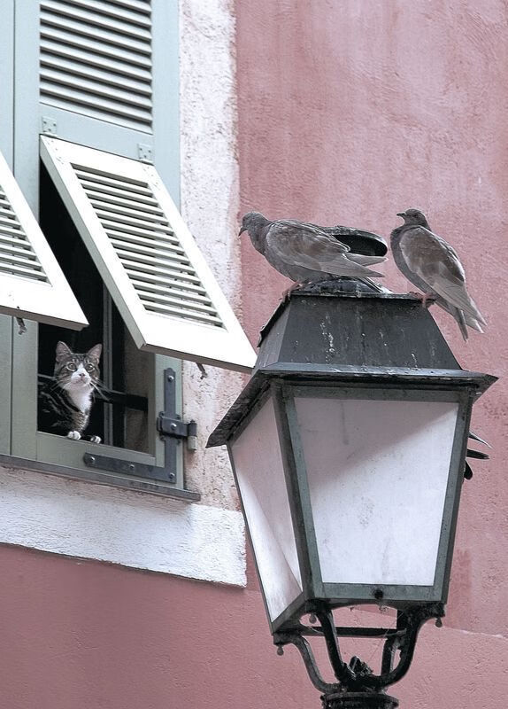 奥运周期关键战焦点战,山西队末节逆袭带走浙江队